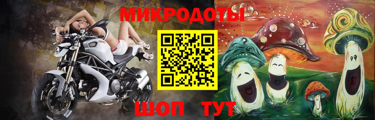 Псилоцибиновые грибы Cubensis Альметьевск
