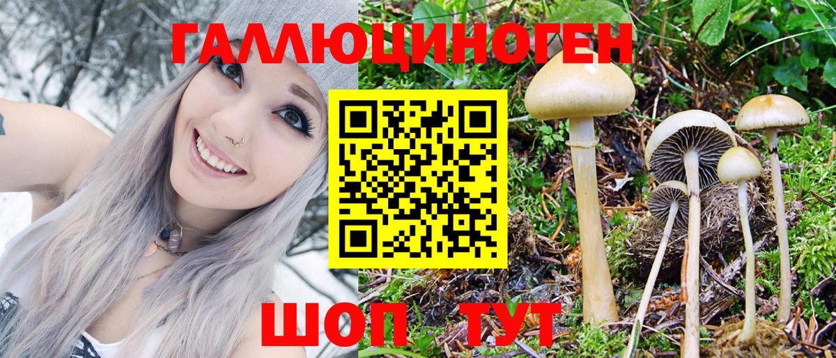 Галлюциногенные грибы Psilocybe  Галлюциногенные грибы MAGIC MUSHROOMS  купить   Альметьевск  Вход с VPN 
